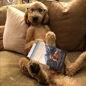 Meet your Posher, Jonathan